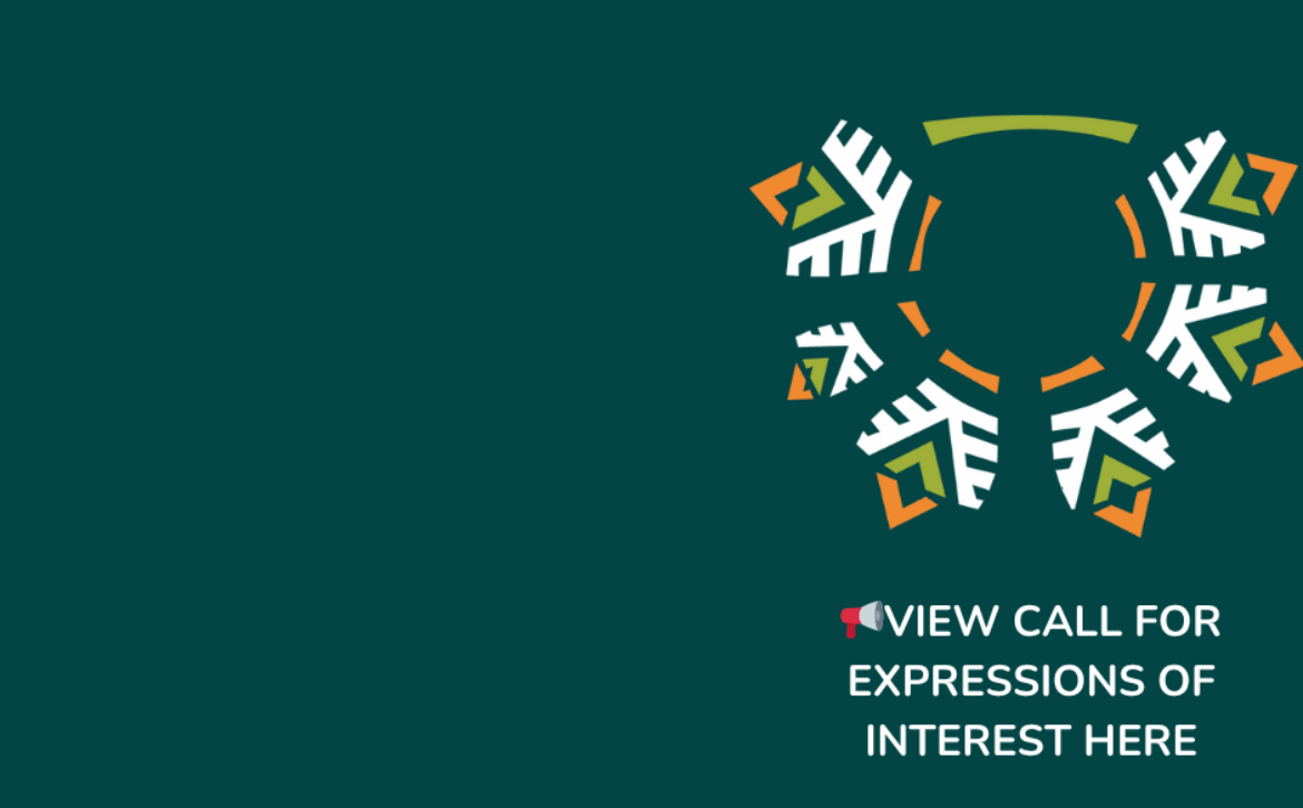 EOI_Feasibility Study for Solar PV Installations in Vanua Levu, Fiji_July 2 (8)