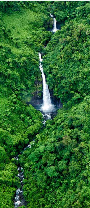 View of a waterfall cascading through rainforest in Taveuni, one of its premier natural attractions.