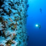 Community Consultations on Tourism’s Environmental and Social Impacts in Vanua Levu and Taveuni