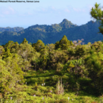 World Environment Day 2026: Inspired by Nature. For Climate. For Our Future.